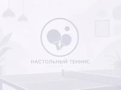 Настольный теннис