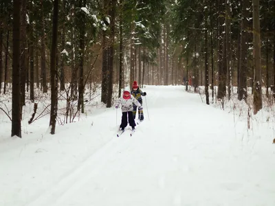 Лыжная трасса