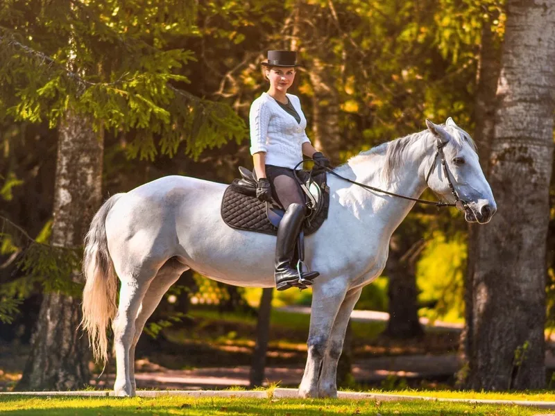 Конные прогулки - Moscow Country Club
