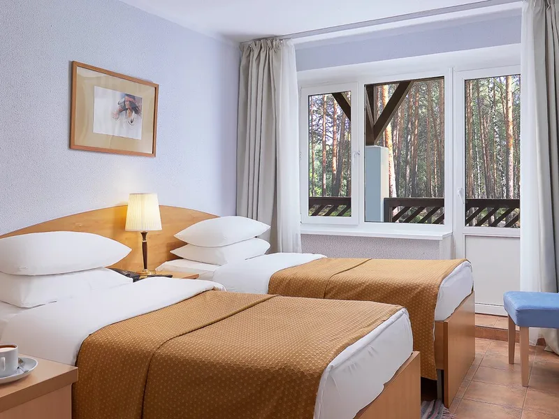 Стандартный номер (кровать DBL/TWIN) - Отель Country Resort HOTEL & SPA