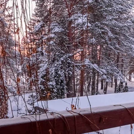 Подберите лучшую цену