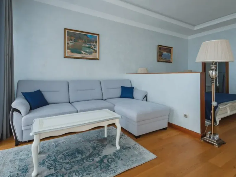 Люкс однокомнатный Family Studio в Санаторий Сосновая Роща