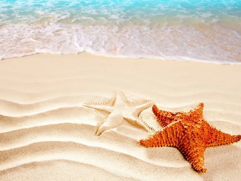 Море и пляж - Отель La Melia