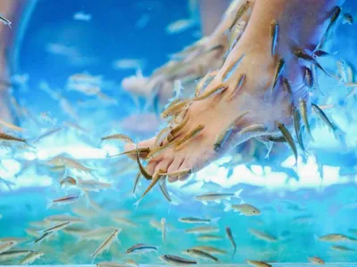 Fish-пилинг