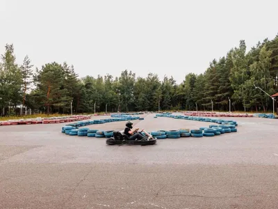 Картинг