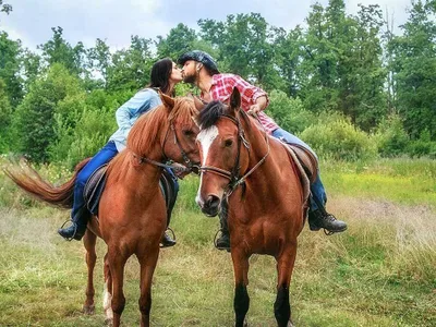 Конный клуб
