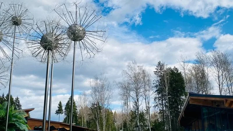 Подберите лучшую цену