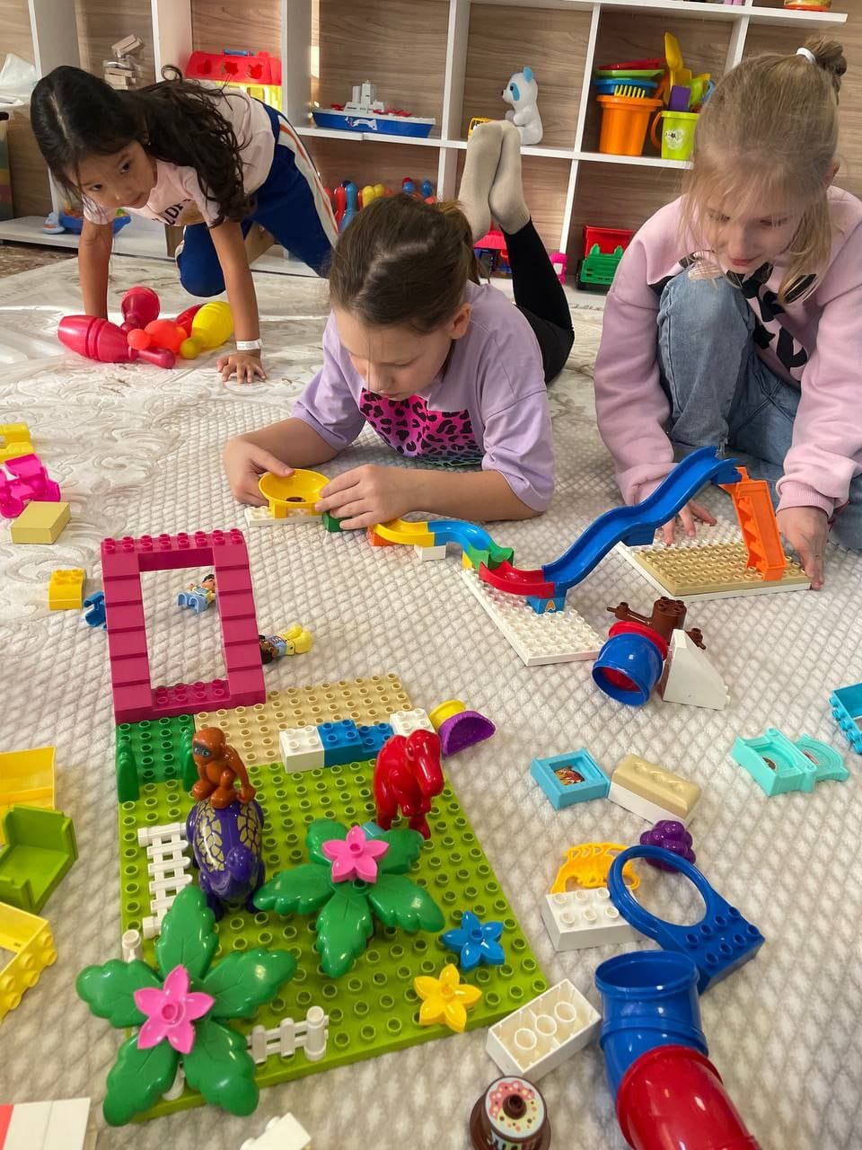 Интерактивные квесты -  Санаторий Сосновая Роща