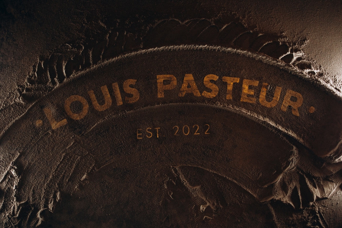 Louis Pasteur -  Курортный отель «Анапа-Океан»