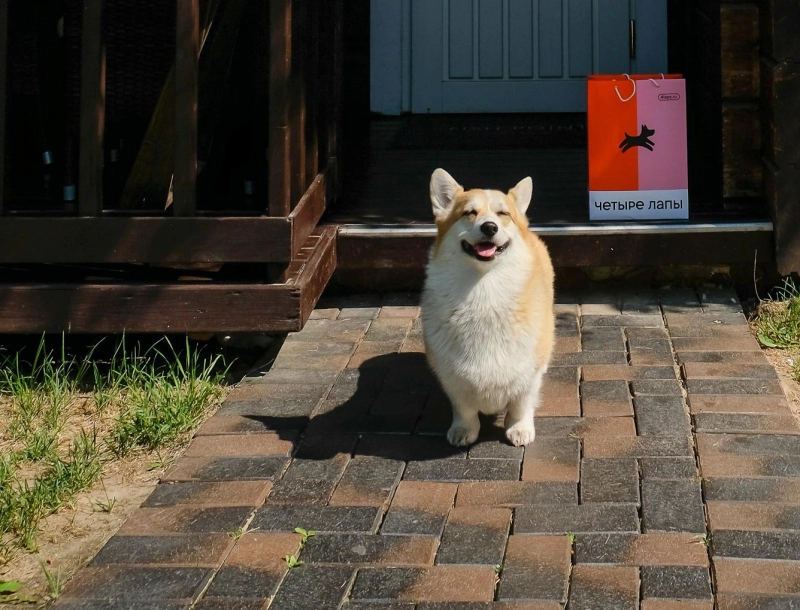 Проживание с животными -  Загородный отель «Fish Point Family Resort»