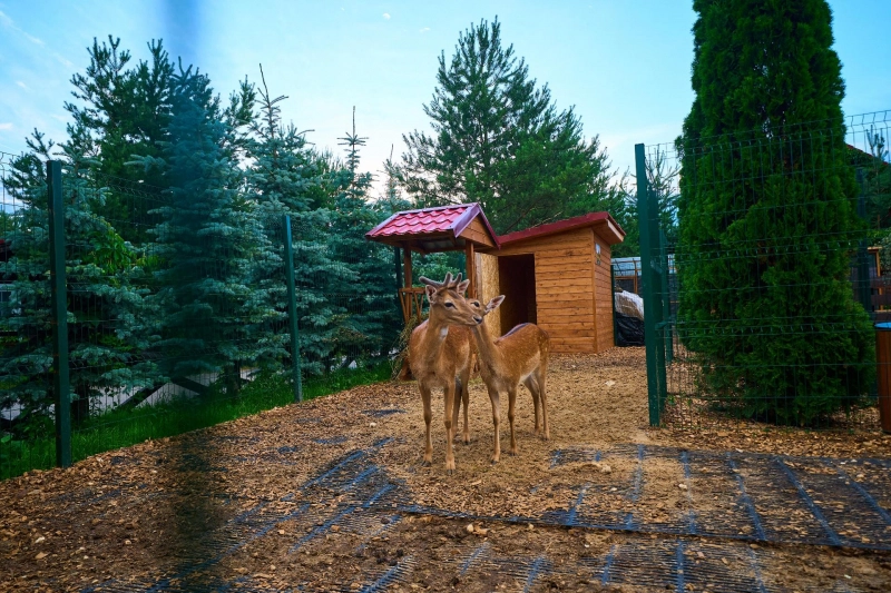 Экоферма -  Загородный отель «Fish Point Family Resort»